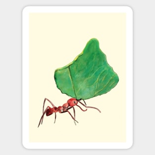 Ant carrying big leaf Sticker